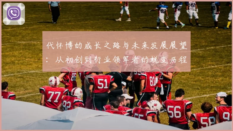 代怀博的成长之路与未来发展展望：从初创到行业领军者的蜕变历程