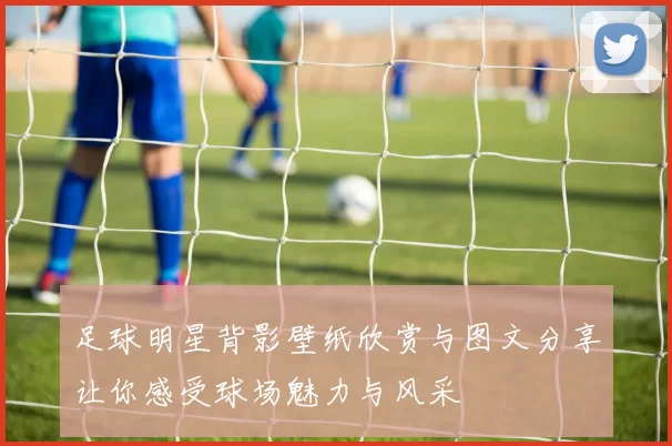 足球明星背影壁纸欣赏与图文分享让你感受球场魅力与风采